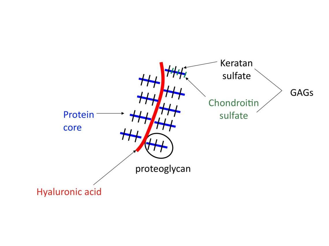 Hyaluronic Acid image